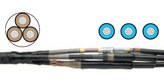    (Raychem) TRAJ 12/1x150-240